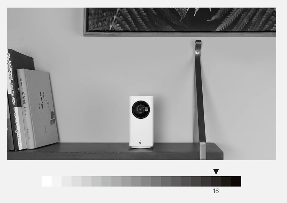 Origianl Xiaomi Mijia Xiaofang Dafang Smart Camera 1080p HD Intelligent Security WIFI IP Cam Nightshot 120 degrees wide angle4