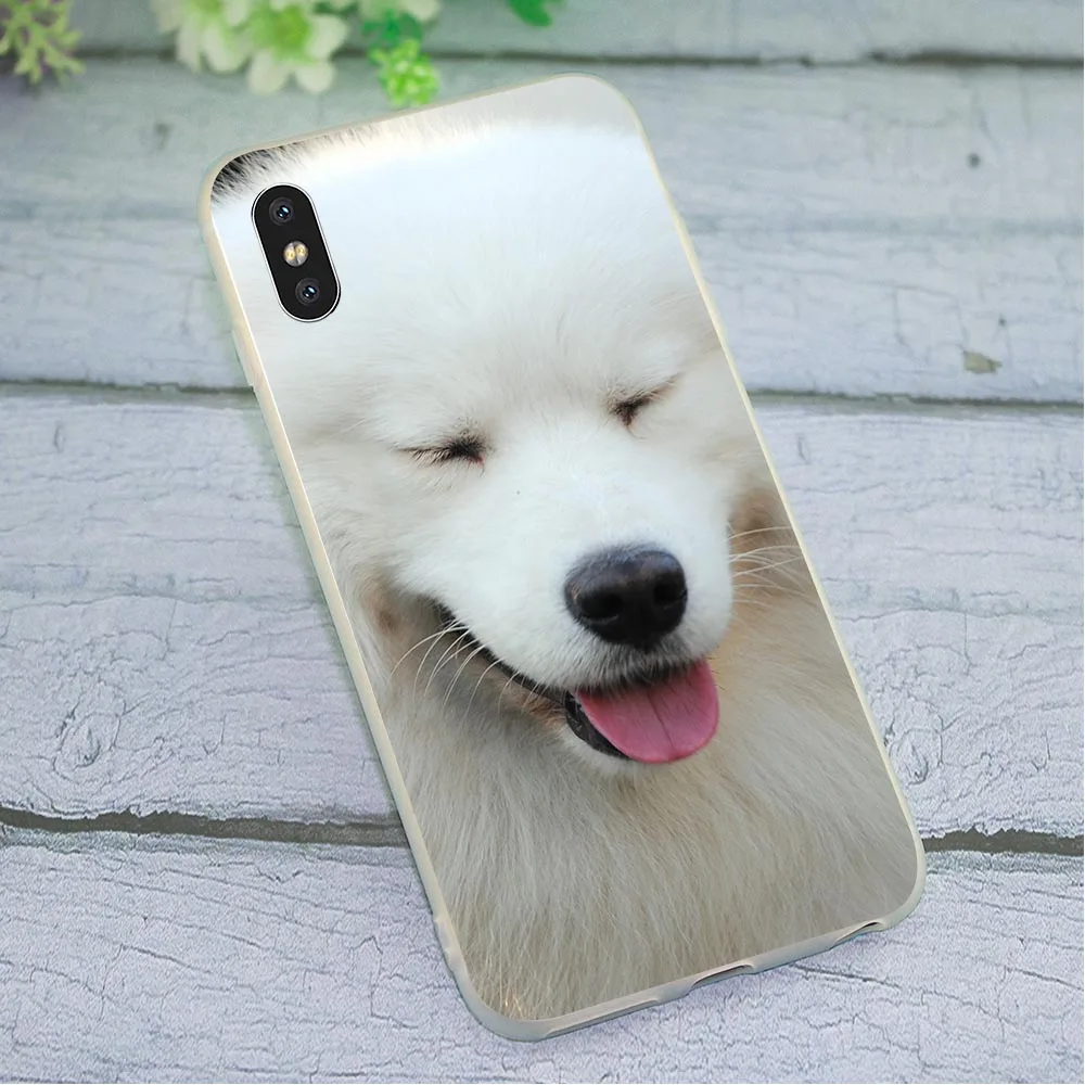 

Samoyed Dog Phone Cover for iPhone 6S Case X XR 5 7 8 Plus 6 6S 5S Xs Max Soft