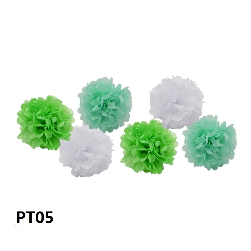 PT05