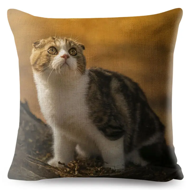 Милый чехол для подушки с изображением животных 3D шотландская висячая кошка наволочки 45*45 см льняной чехол для подушки автомобильный диван домашний декор квадратный чехол для подушки - Цвет: 04