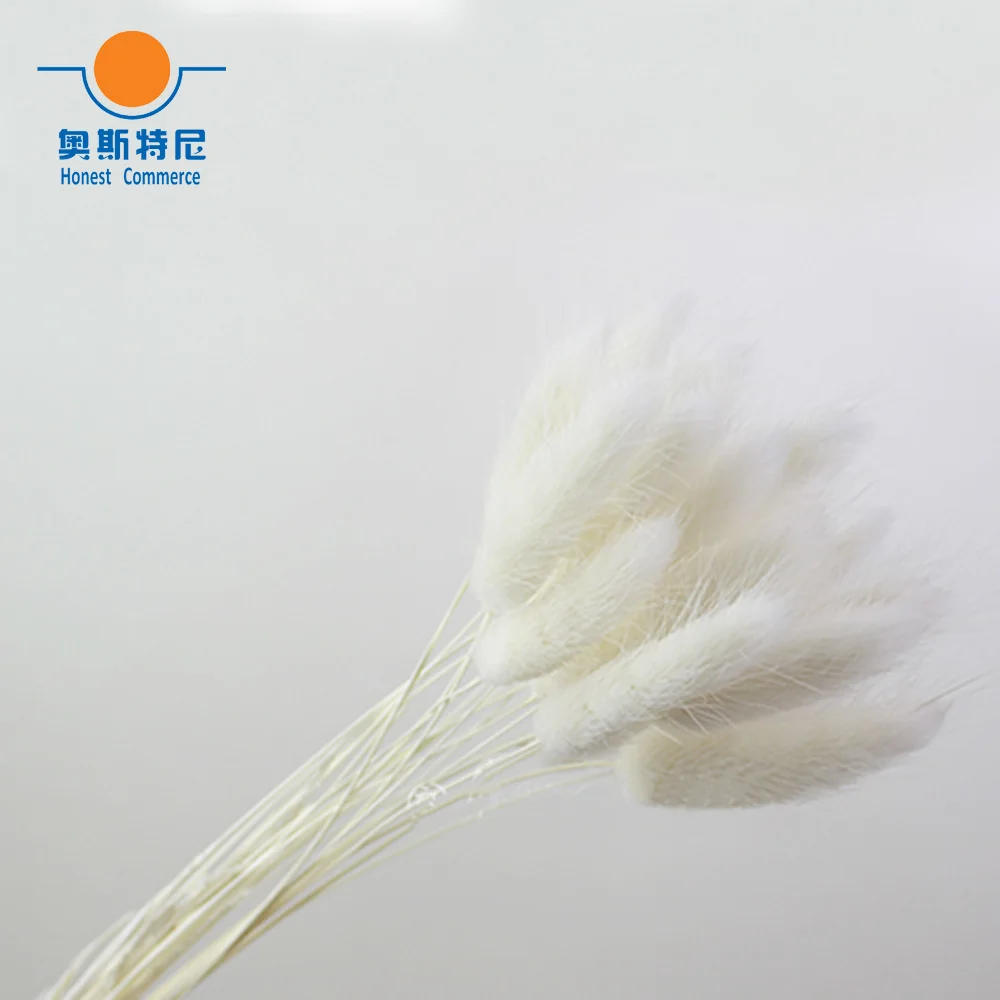 100 шт. Натуральные Сушеные Цветочные букеты фиолетового цвета лагурус оватус Uraria