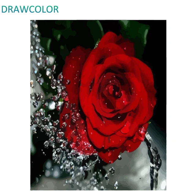 Drawcolor Frame Red Rose Diy Painting By Numbers Flower Acrylic Drawcolor Frame Red Rose Diy Painting By Numbers Flower Acrylic Paint On Canvas Modern Wall Art Calligraphy 40x50cm