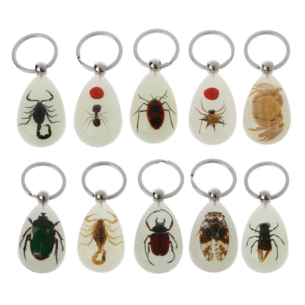 

Natural Glow-in-the-Dark Real Insect Keychain Beetle Animal Specimens Collecting