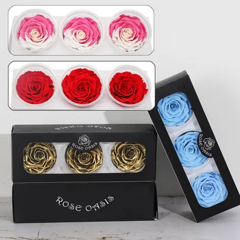 

High Quality Multicolor Preserved Flowers Immortal Rose 8CM Eternal Ros Mother Day Valentines Present Home Furnishing Decoration