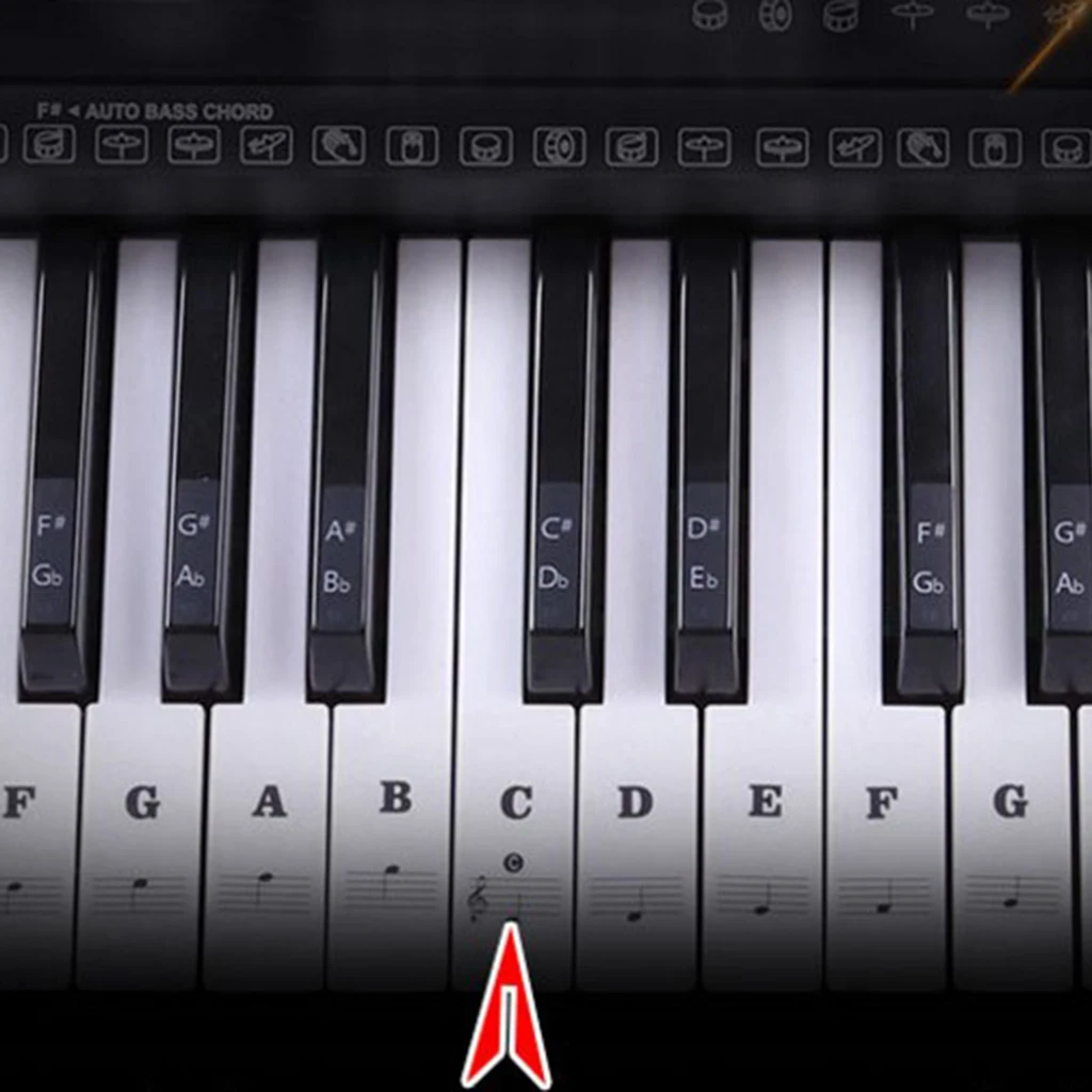 Beginners Piano Sticker 49/54/61/88 Key Music Note Lables Decals for Electronic Piano Parts
