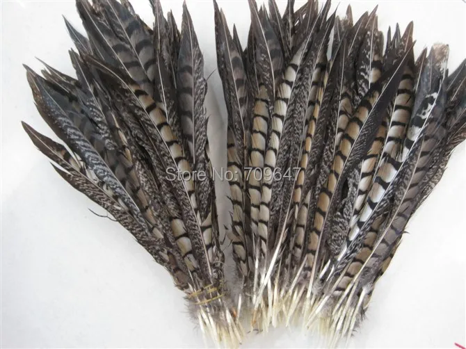 

Wholesale!20PCS/LOT 8-10" Loose Lady Amherst Pheasant Tail Feathers Quills Natural Smudge Wand Black Brown,feathers for crafts