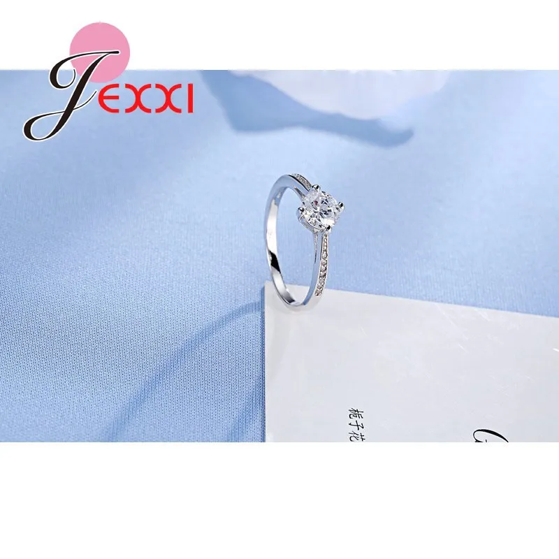 R16100 (2)