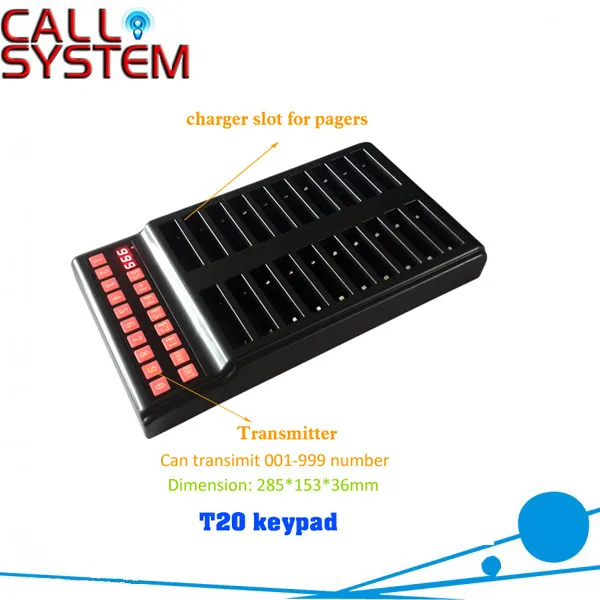 T20