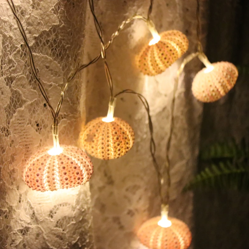Sea Urchin Home Decor Sea Urchin Home Decor