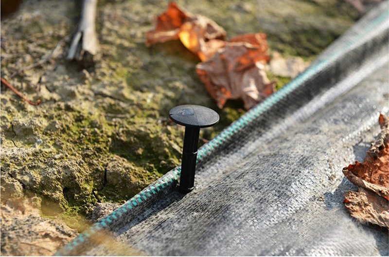 HTB1OrcDRFXXXXaPXVXXq6xXFXXXF