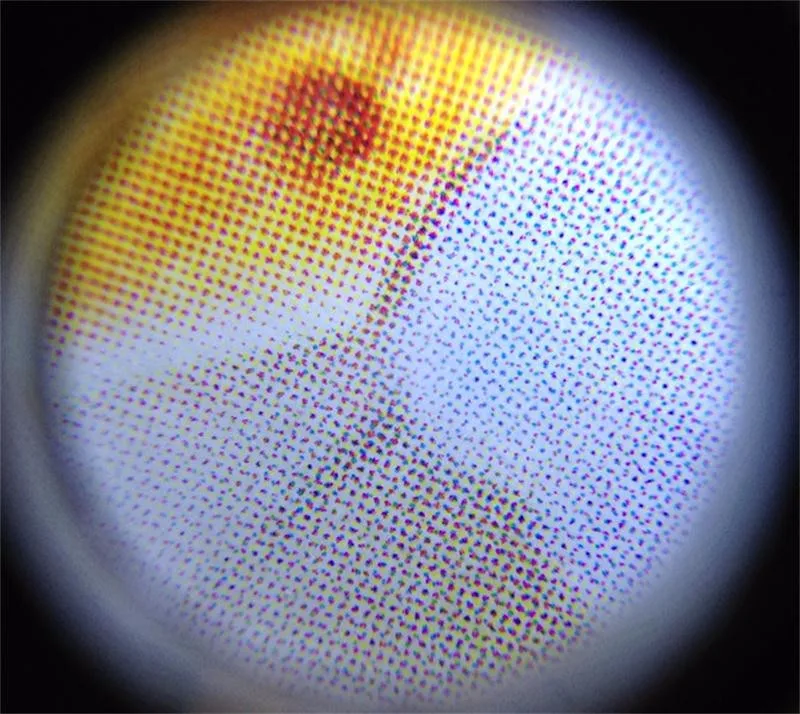 MG21011 (5)