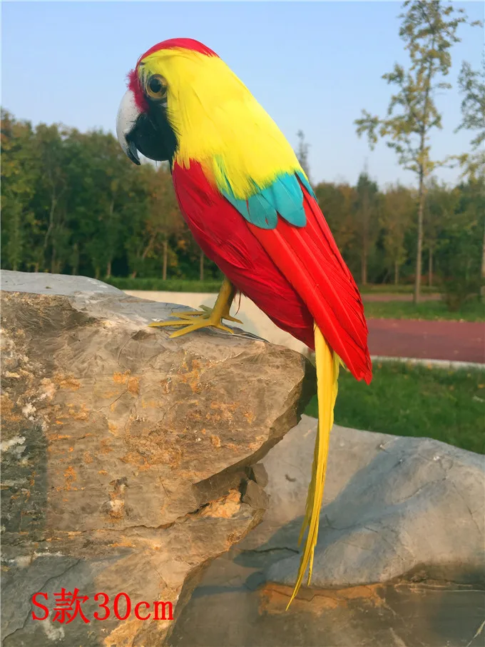 

simulation parrot bird hard model polyethylene&yellow-red feathers parrot about 30cm home garden decoration gift s2987