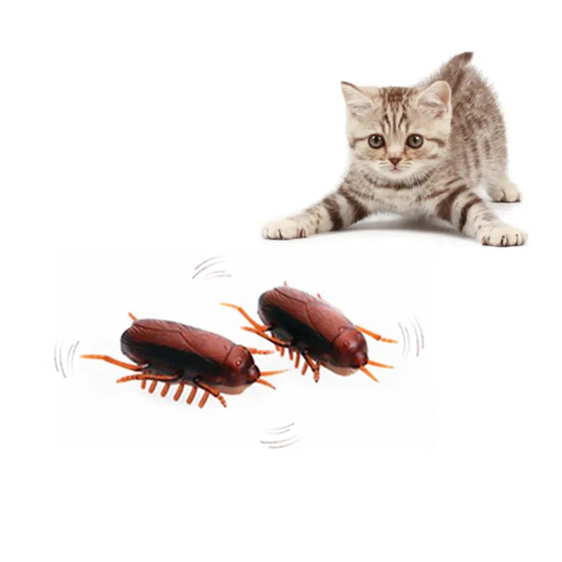 FILY Electronic Funny Simulation of Cockroaches Pet Cat Dog Interactive Training Playing Toy FILY Electronic Funny Simulation of Cockroaches Pet Cat Dog Interactive Training Playing Toy