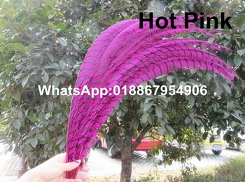 

Factory 50pcs/lot Size 80-90cm Dyed Hot Pink Colors ZEBRA Lady Amherst Pheasant Tail Feathers