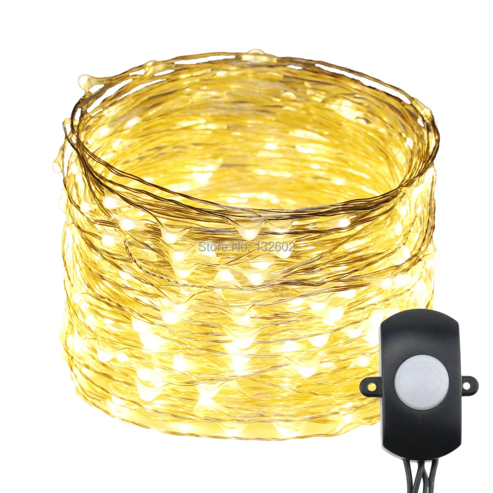 Motion Sensor 30M 40M 50M Indoor LED String Lights, Warm White Silver