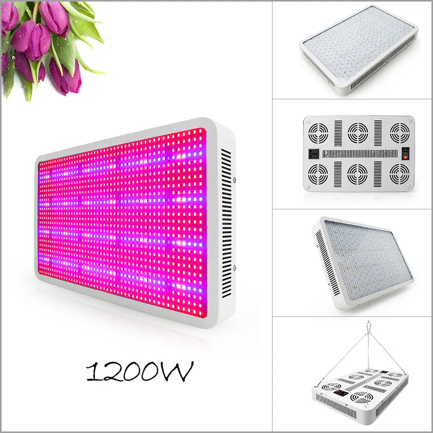 1200w-1