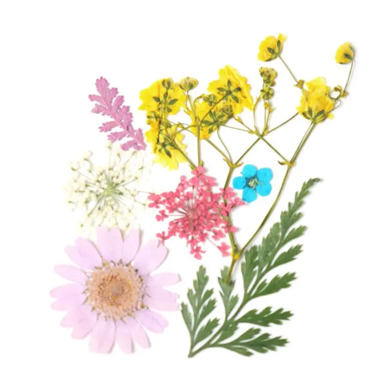 JAVRICK высушенные цветы лист УФ смола украшение цветок сухое искусство наклейки