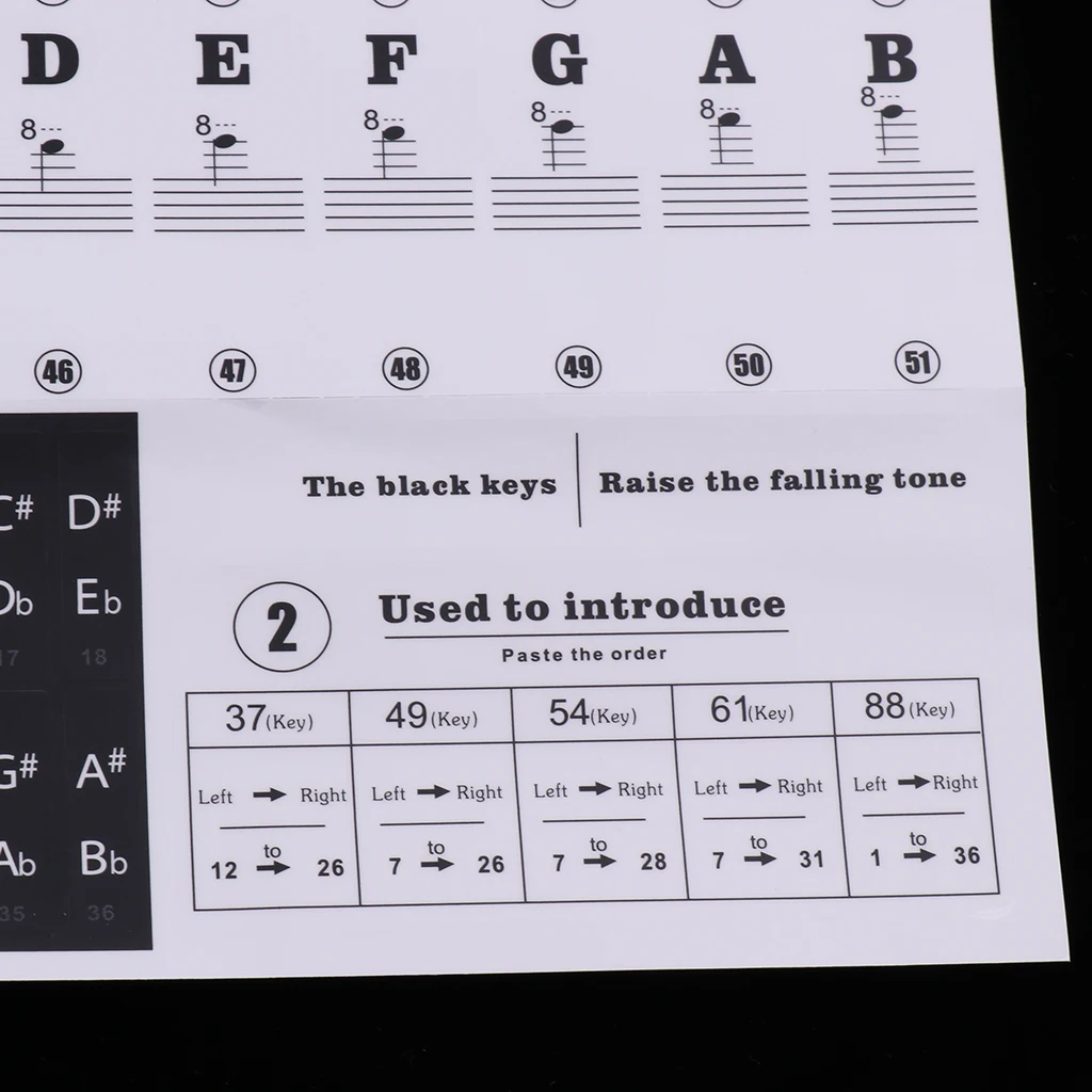 Beginners Piano Sticker 49/54/61/88 Key Music Note Lables Decals for Electronic Piano Parts