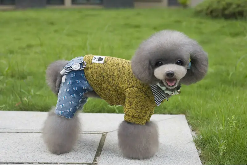 Y117_2016_Winter_Pet_dog_Fleece_sweater_clothes_Lovely_super_Warm_Fleece_4_legs_clothes_for_Puppy_dog_Jumpsuit_Coverall_Costume_Apparel_ (9)