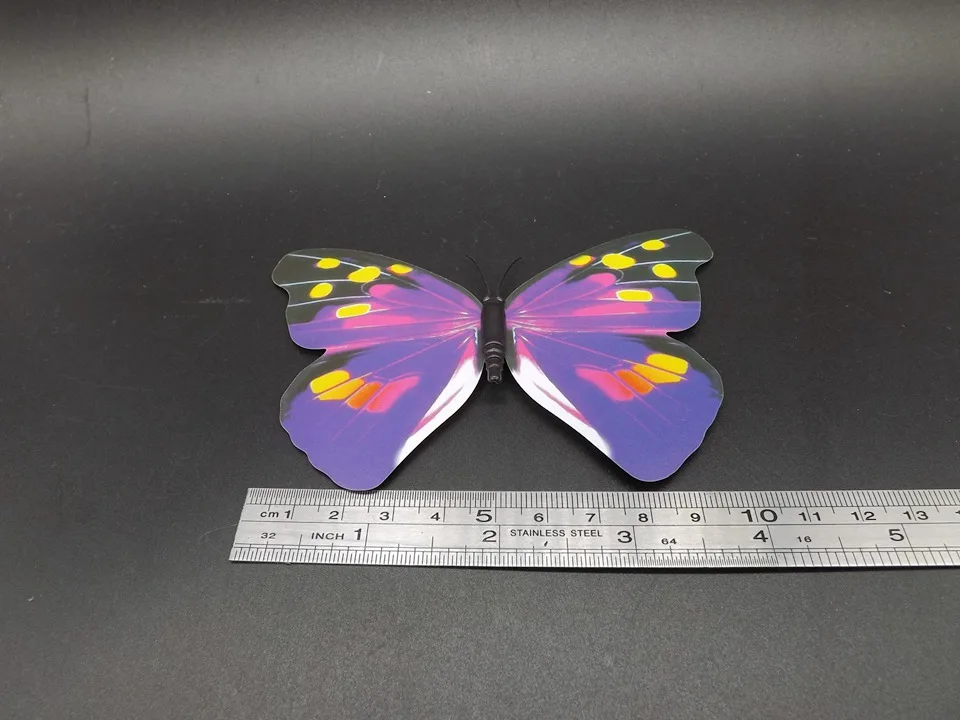 I193-Butterfly (10)