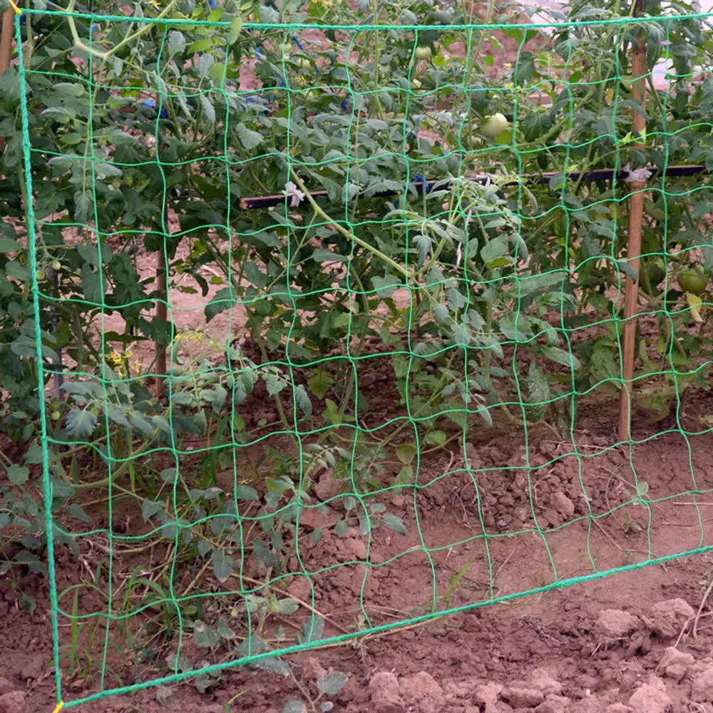 Nylon Vegetable Plant Support Trellis Netting Fruit Tree
