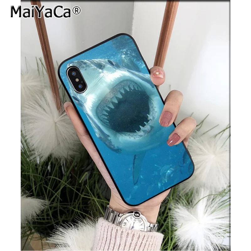 Ocean Sharks