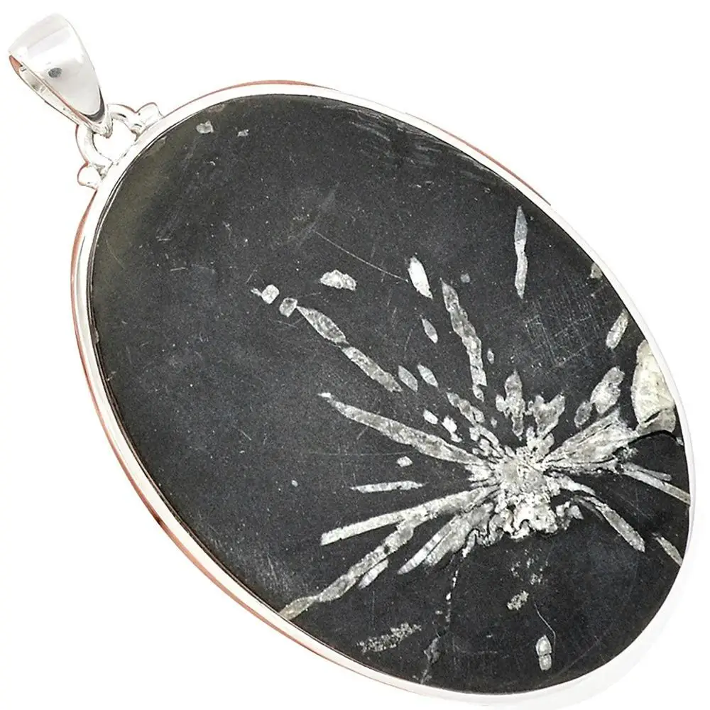 

Lovegem Genuine CHRYSANTHEMUM Pendant 925 Sterling Silver , 71 mm, AP3122