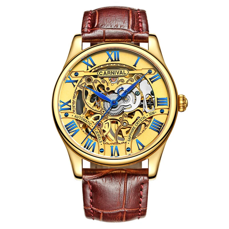 

Carnival Top Brand Luxury Automatic Mechanical Watch Men Gold Skeleton Business Leather Waterproof Mens Clock relogio masculino