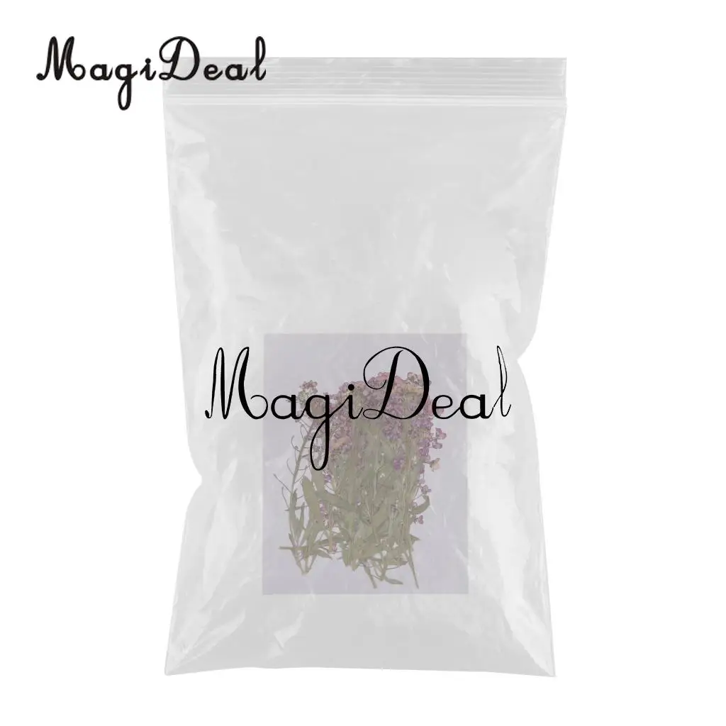 MagiDeal 20Pcs Pressed Alyssum Real Dried Flower Scrapbooking Making Accessories for DIY Necklace Pendants Charms Resin Casting