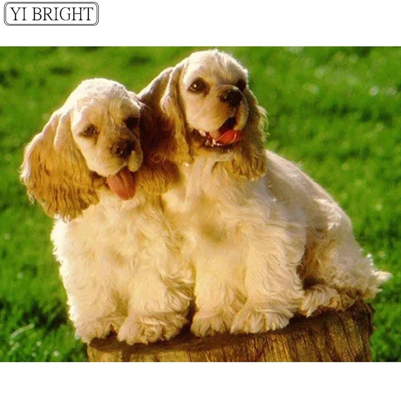 diy Diamond Embroidery animals dog Full 5d Painting Cross Stitch Poodle Mosaic Crafts Pattern home decor LK1 | Дом и сад