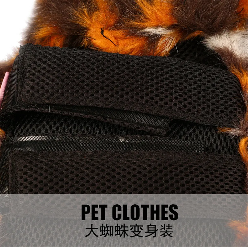 pet 13