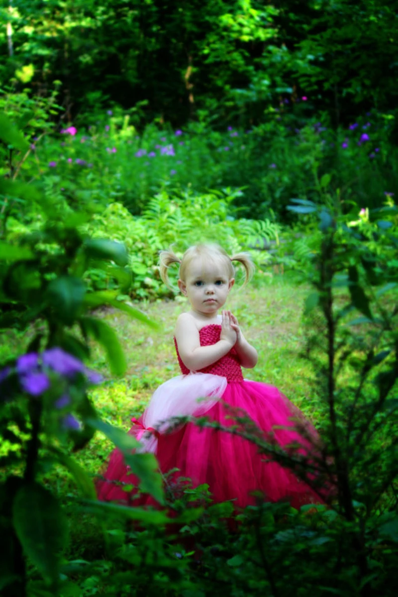 Sleeping Beauty Aurora Inspired Costume Tutu Dress