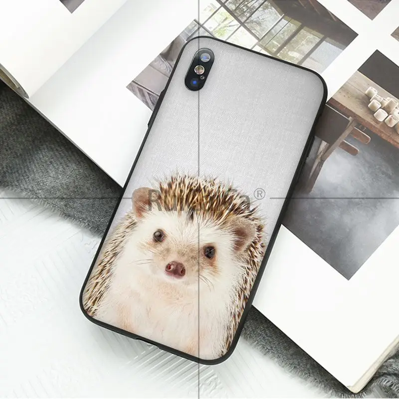 Animal dog cat tiger penguin baby