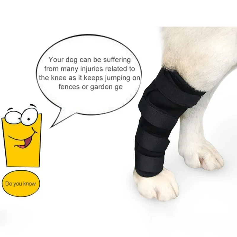 Коленный бандаж для собак, задний, для собак, компрессионный, для заднего сустава, обертывание, защищает от ран, предотвращает травму артрита