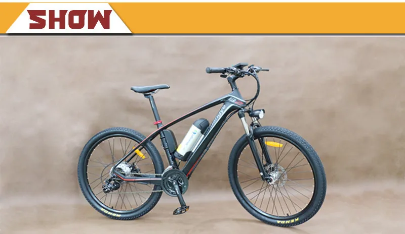  Carbon electric bike (3)