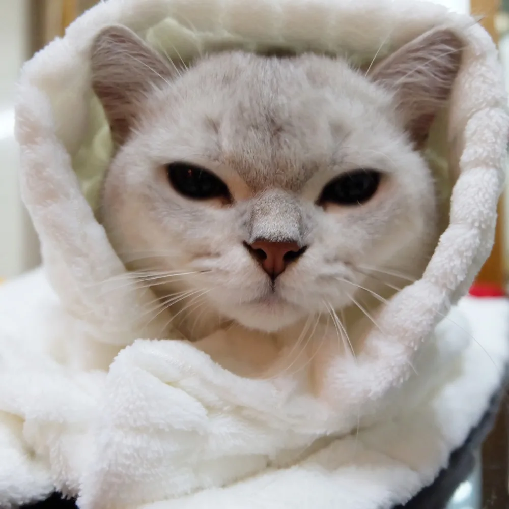 

Microfiber Pet fleece Towels Warm Blanket Dog Cat Mat Puppy Bed Sofa Cushion Pet Kitten Puppy Grooming Pet Product For Dogs Cats