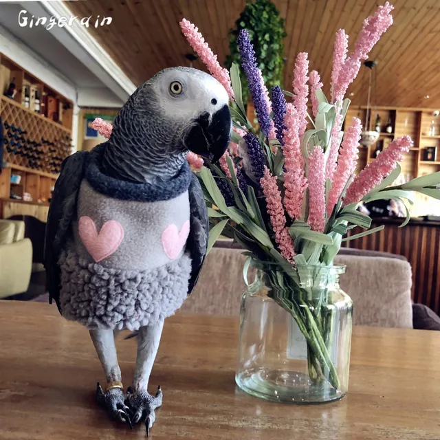 Gingerain Burung Pakaian Parrot Pakaian Kehilangan Bola Asli Buatan Tangan Kustom Burung Bertudung Sweater Kehilangan Bola