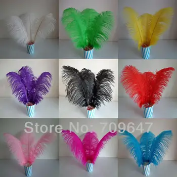 

Freeshipping 50pcs/lot 20-22inch 50-55CM High Quality Natural OSTRICH FEATHERS Color Selection