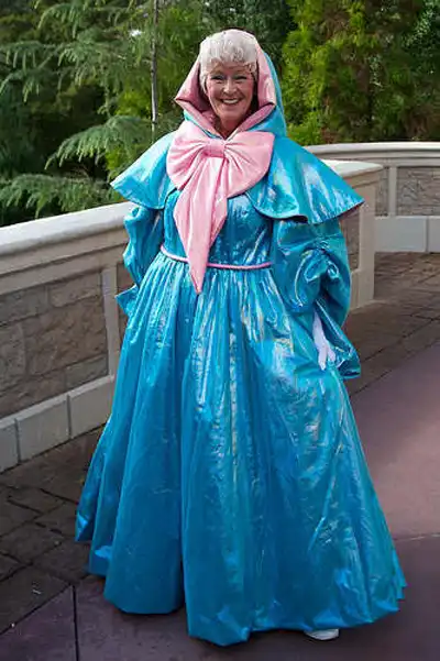fairy godmother fancy dress plus size