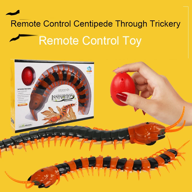 rc centipede