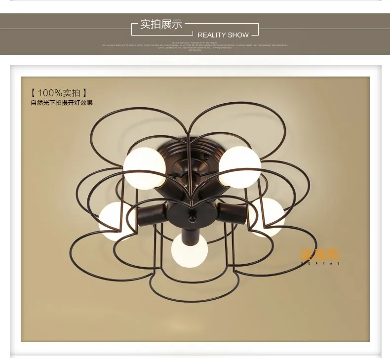 XC-8017 Ceiling lighting (12)_A