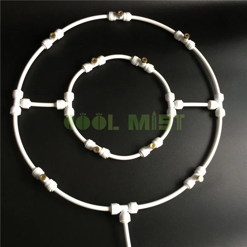 double ring (19)
