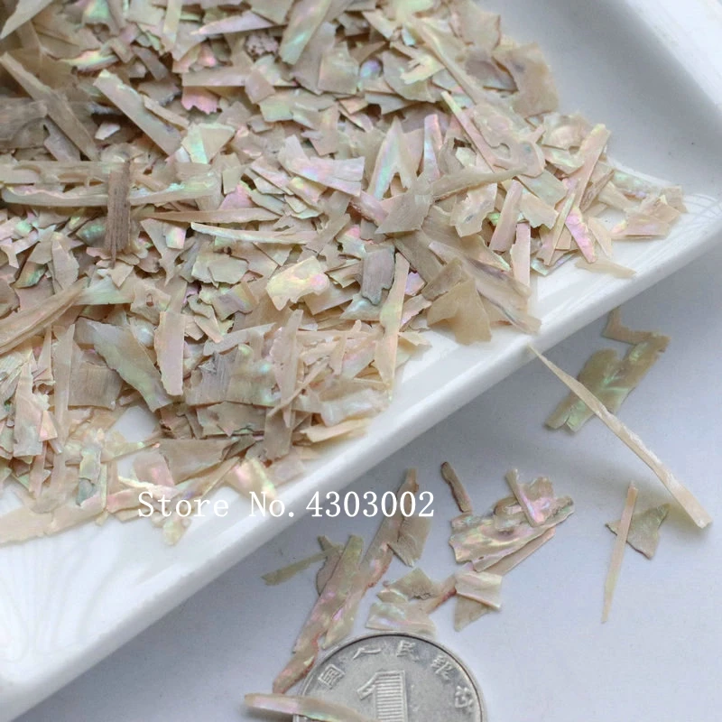 

100g/lot Natural Crushed Abalone Shell Mother of Pearl shell for DIY Jewelry Crushed Shell MOP Pearl shell for fake nails