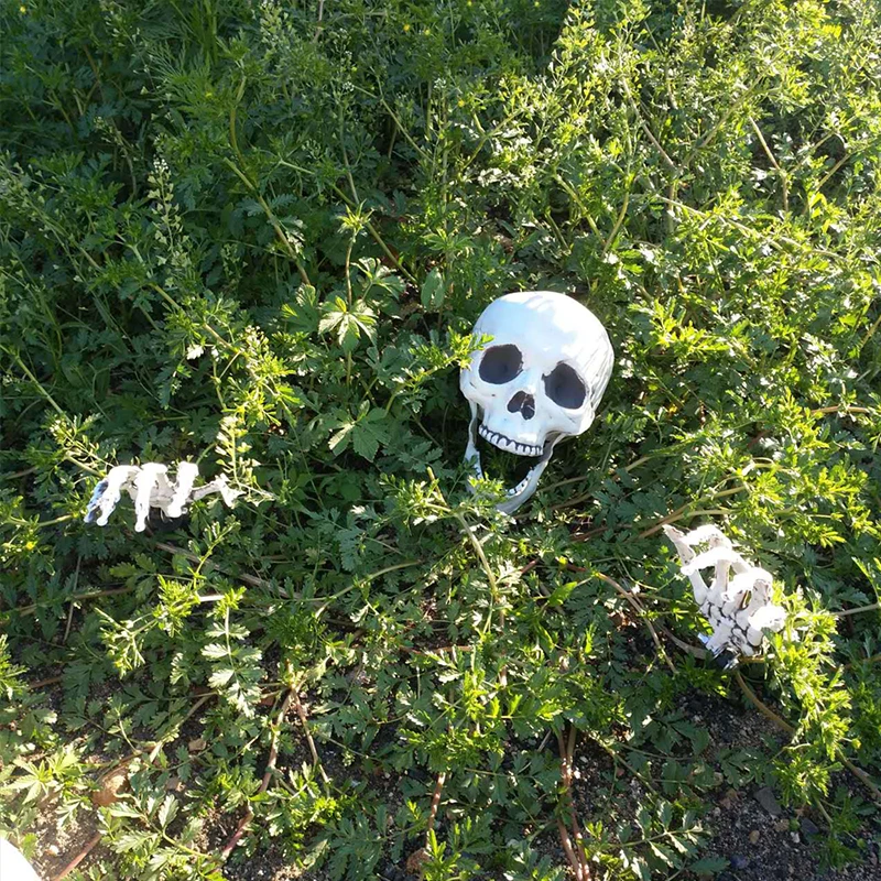 Baratos Juego de estacas de césped esqueleto de Halloween manos de plástico y calavera casa embrujada Escape accesorios de horror decoraciones de Halloween