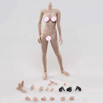 

1/6 scale flexible action figure female woman girl lady body action figure toy middle breast boobs body FX05B doll toys