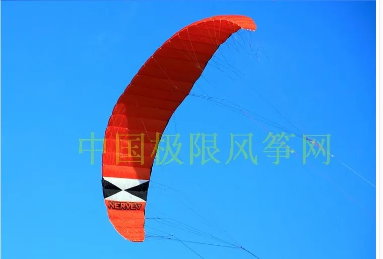 Нейлоновый Змеиный Зонт ripstop cerf volant kitesurf parafoil vlieger парашютный спорт воздушный