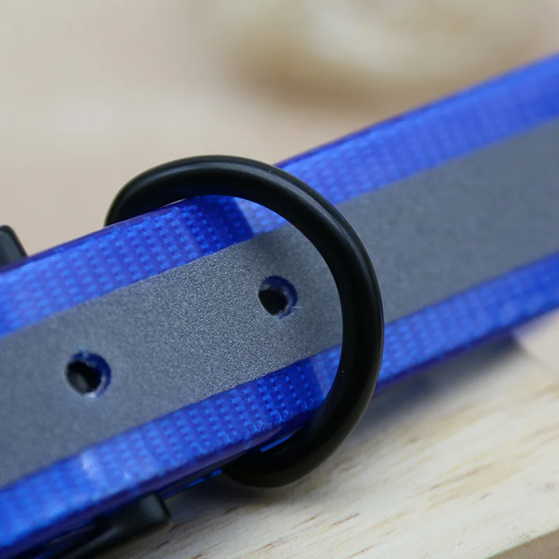 Pet DOG COLLAR  (4)