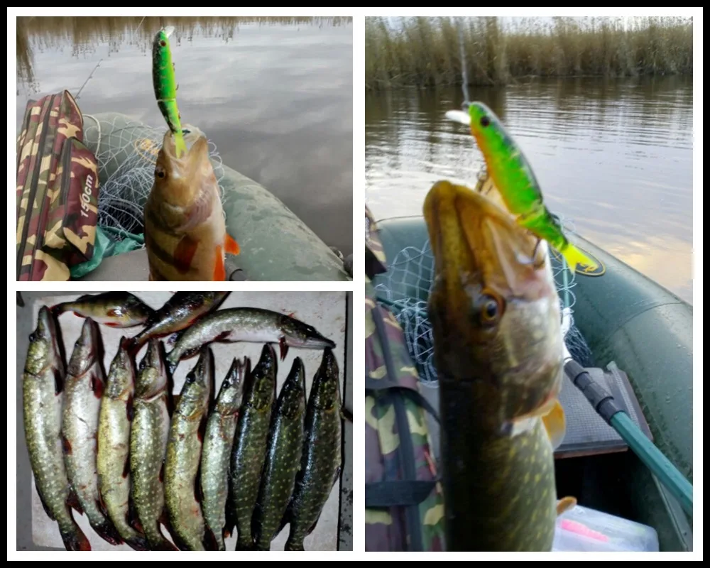 Caçada Magallon Pike Lure 11.3 Centímetros 13.7g Isca Articulada Rabo Macio Minnow Lure Vmc Gancho Mergulho Swimbaits Naufrágio Lento Isca 10 Hunthouse magallon pike isca 11.3cm 13.7g articulada