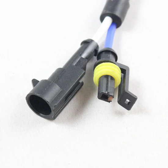 D2S-AMP (3)