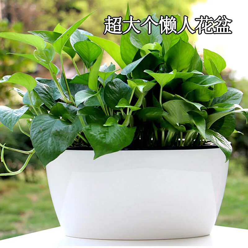 

New Automatic Water Absorbing Lazy Flower Pot Green Lotus Flower Desktop Living Room Balcony Double Flower Pot